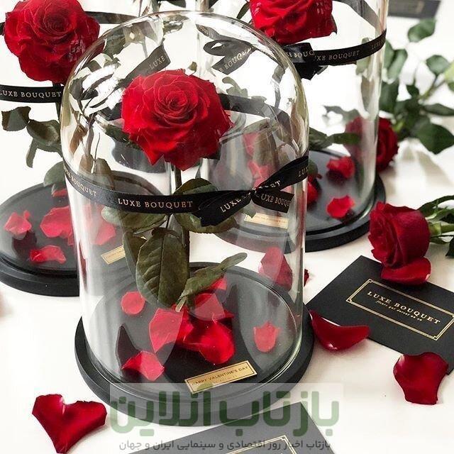 قیمت گل در روز مادر چند برابر شد؟ + جدول قیمت