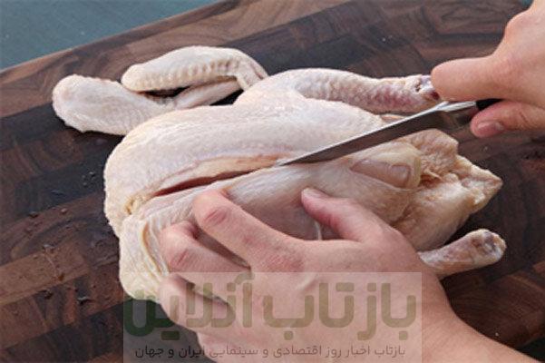 افزایش تولید گوشت طیور/ سهم مرغ همچنان غالب 1 افزایش تولید گوشت طیور/ سهم مرغ همچنان غالب