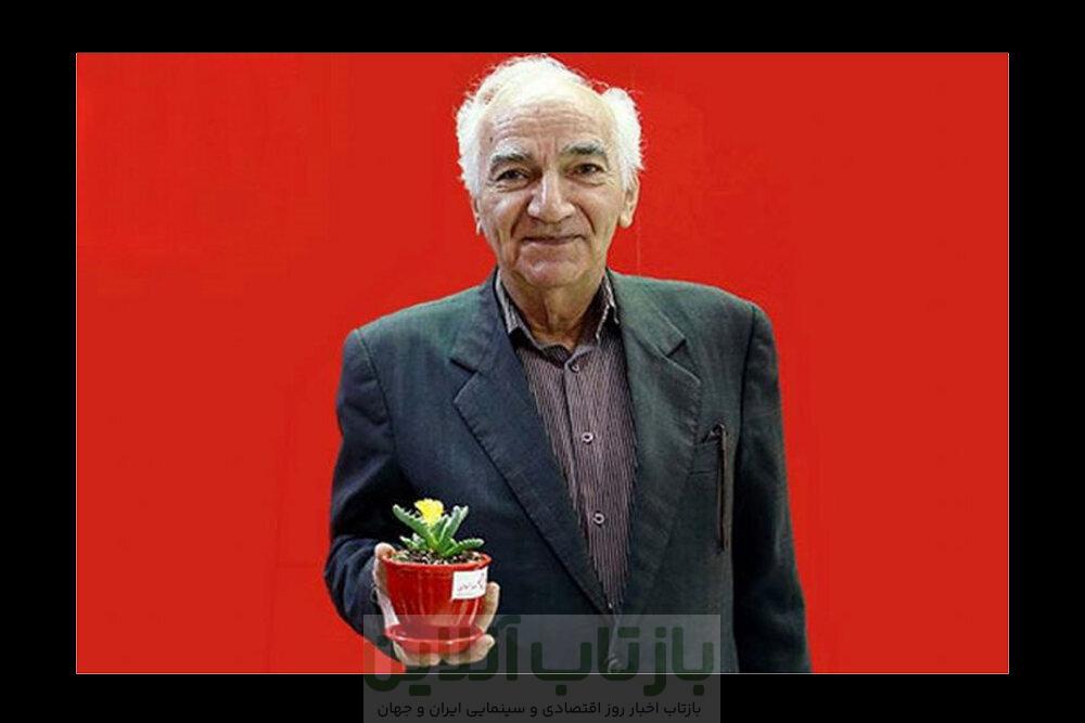 بازی بنفشه‌خواه در سریالی درباره جنگ ۱۲ روزه ؛ رویا افشار مادر شهید شد