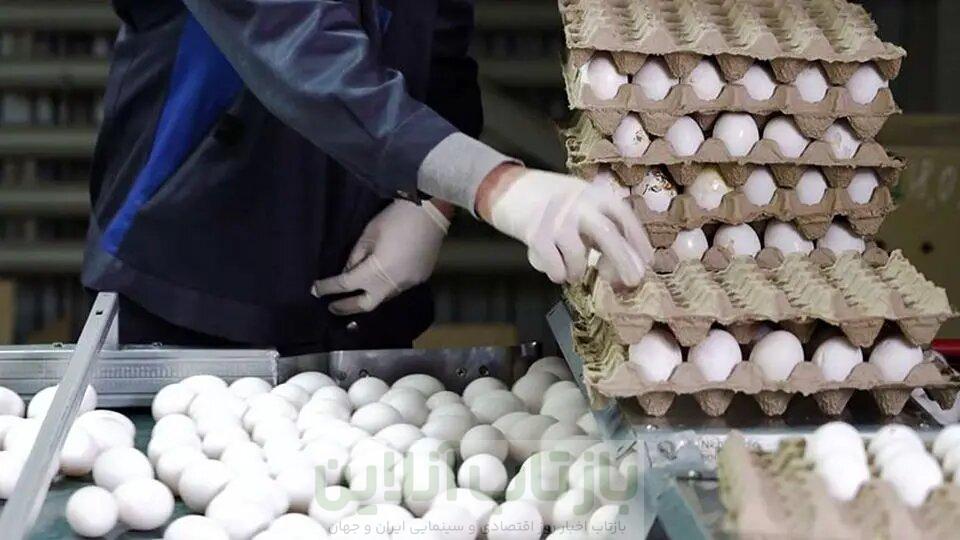 قیمت تخم‌مرغ نجومی شد؛ مقصر کیست؟/ قیمت واقعی تخم‌مرغ چه رقمی است؟