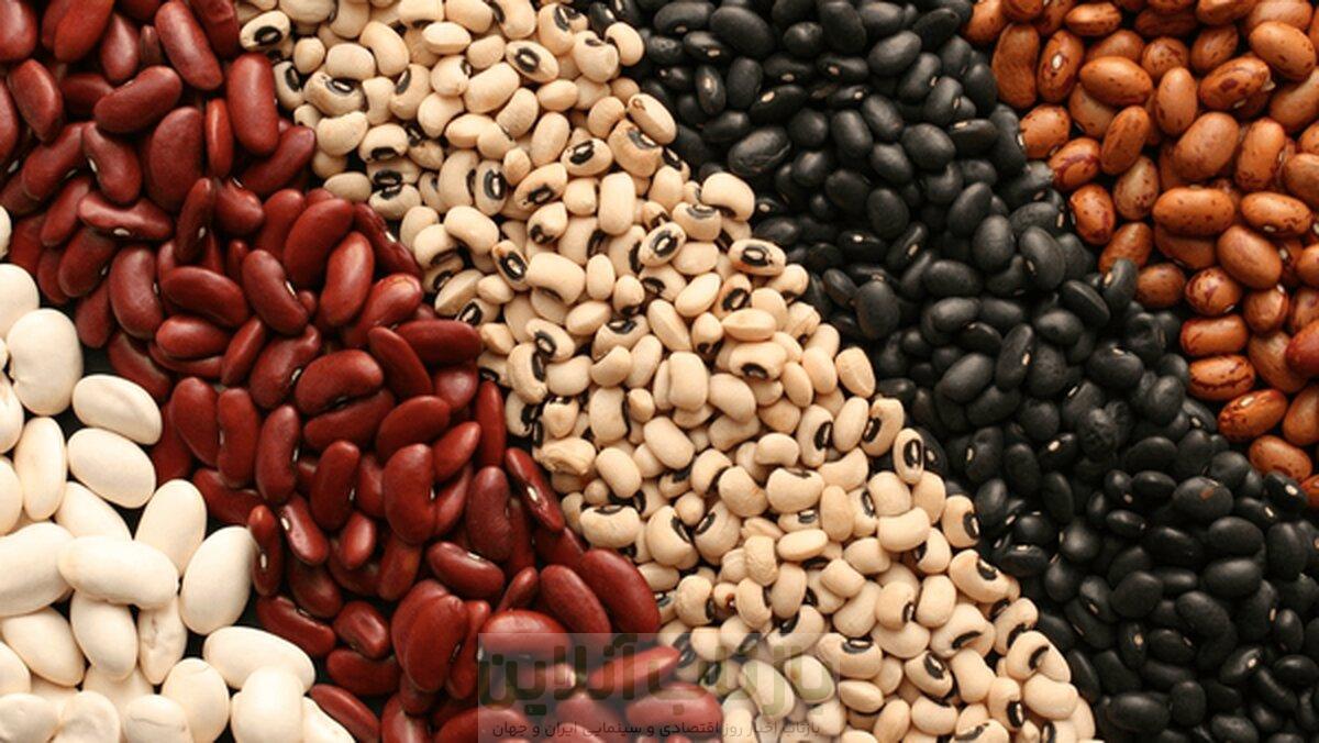 تغییر عجیب قیمت حبوبات در دی ۱۴۰۴/ قیمت لوبیاچیتی به مرز ۶۰۰ هزار تومان رسید 1 تغییر عجیب قیمت حبوبات در دی ۱۴۰۴/ قیمت لوبیاچیتی به مرز ۶۰۰ هزار تومان رسید