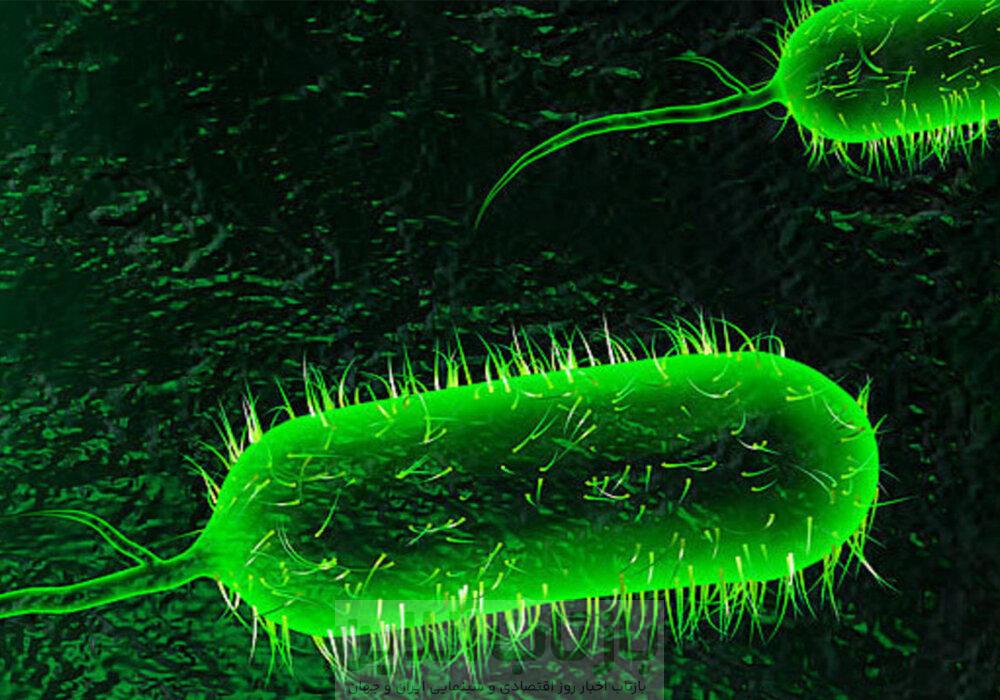 آخرین وضعیت بیماری وبا در ایران، منطقه و جهان اعلام شد 1 آخرین وضعیت بیماری وبا در ایران، منطقه و جهان اعلام شد