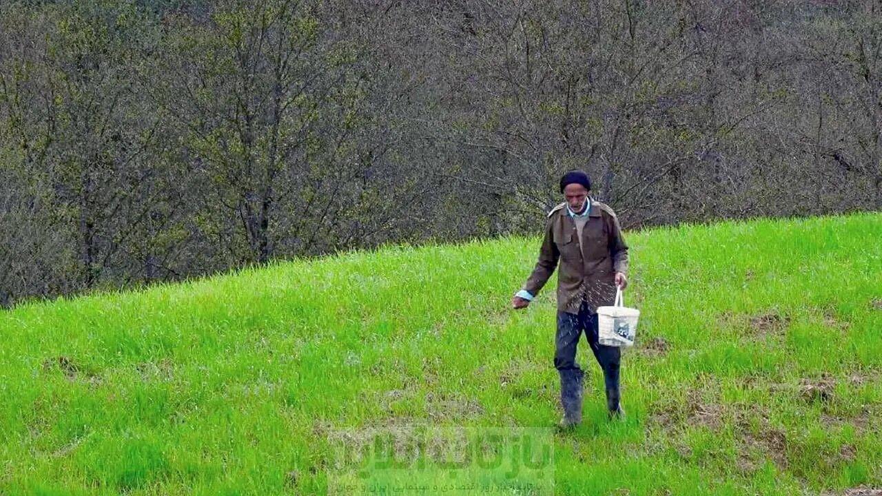 تنهایی و وفاداری قدمعلی در یک روستای خالی 1 تنهایی و وفاداری قدمعلی در یک روستای خالی