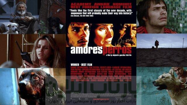 «عشقِ سگی» دوباره زنده شد 1 «عشقِ سگی» دوباره زنده شد