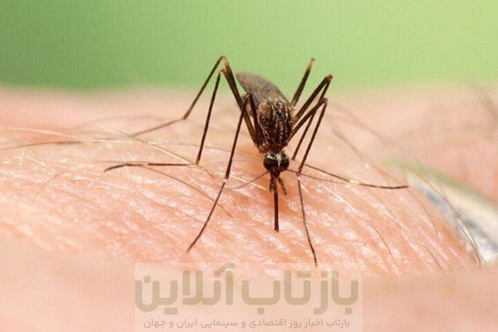 ارائه درس آموخته های تشخیص و درمان تب دانگ 1 ارائه درس آموخته های تشخیص و درمان تب دانگ